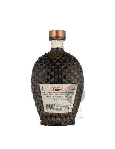 Gin Saigon Baigur 70cl